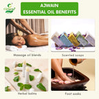 Ajwain Essential Oil – Digestive Support