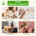 Algae Essential Oil – Detoxifying
