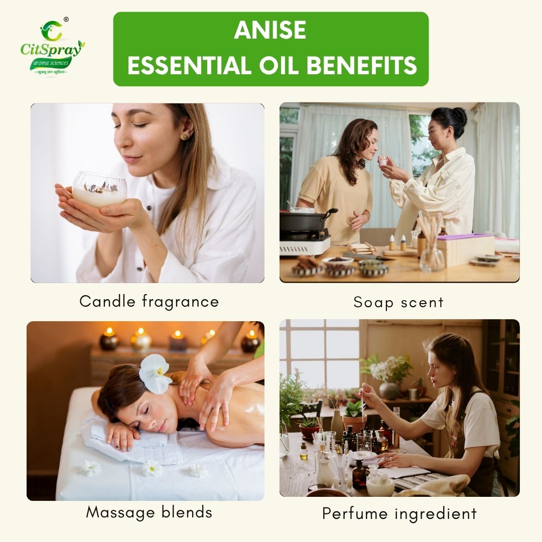 Aniseed Essential Oil – Digestive Support
