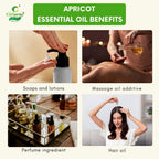 Apricot Essential Oil – Radiant Skin