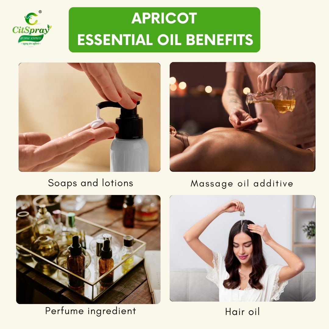 Apricot Carrier Oil – Radiant Skin