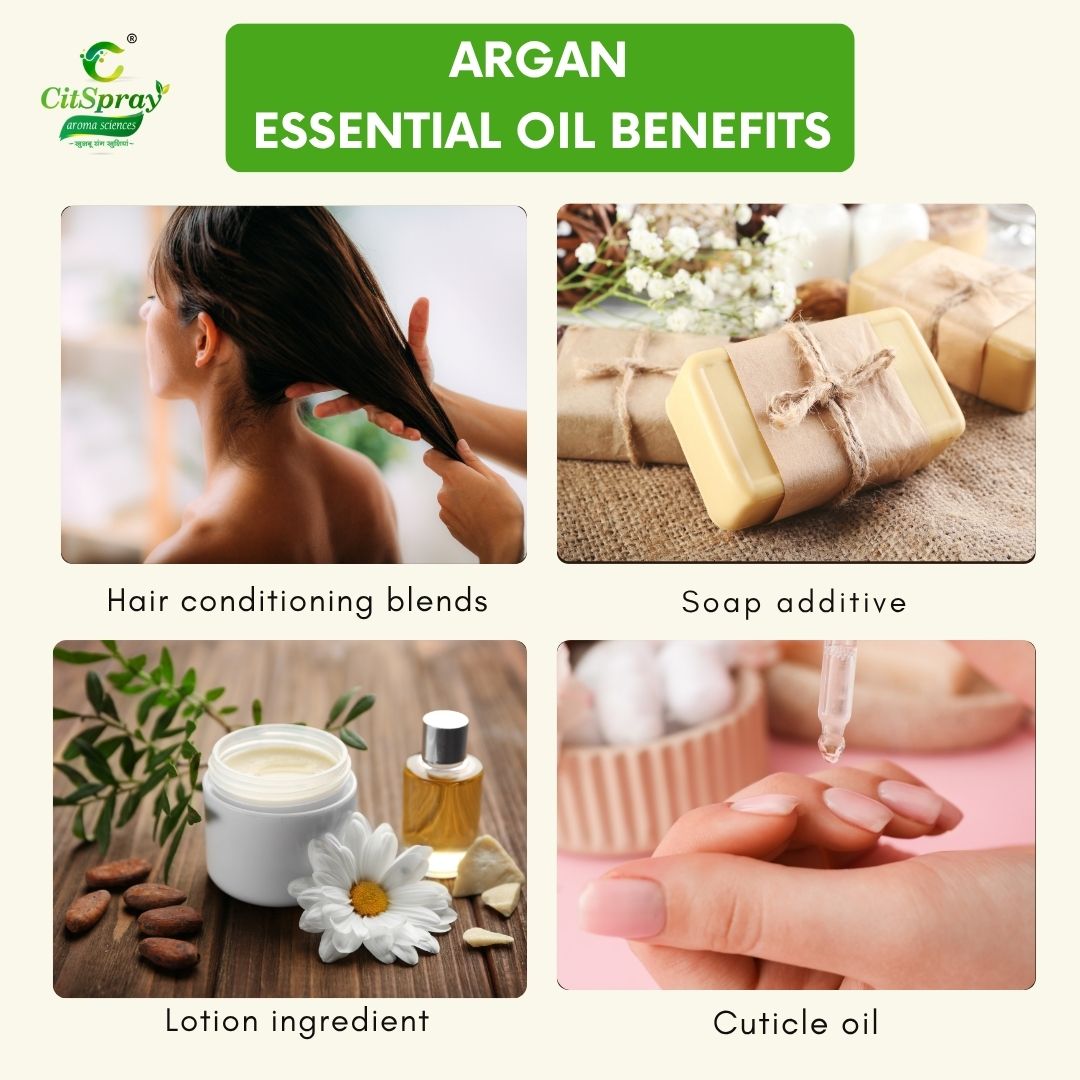 Argan Essential Oil – Hair Nourishment