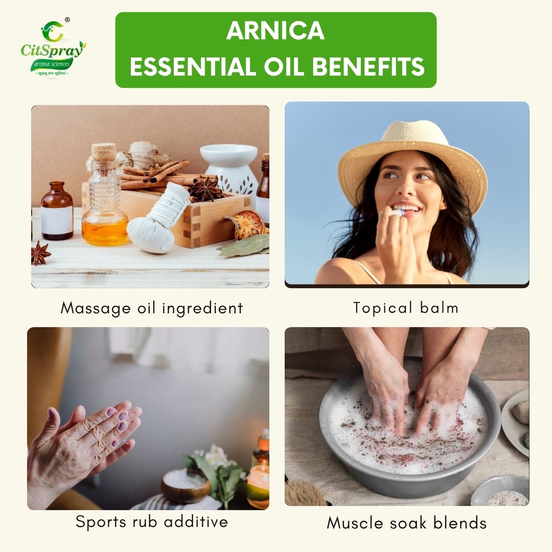Arnica Essential Oil – Muscle Relief