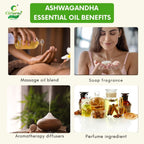Ashwagandha Essential Oil – Anxiety Relief