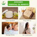 Avocado Essential Oil – Skin Hydration