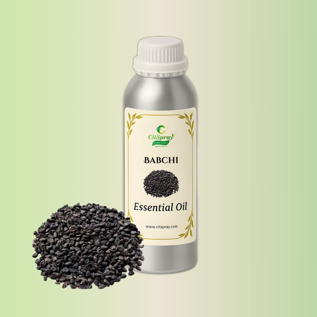 Babchi Essential Oil in aluminium bottle by CitSpray. Psoralea corylifolia.