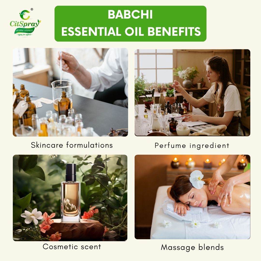 Babchi Essential Oil – Skin Brightening