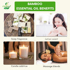 Bamboo Essential Oil – Natural Fragrance