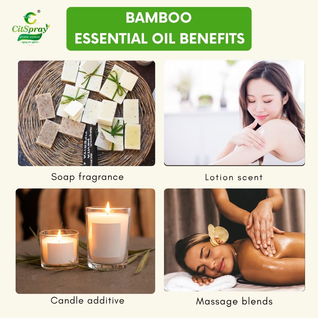 Bamboo Essential Oil – Natural Fragrance