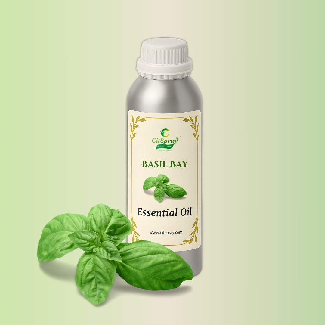 Basil Bay Essential Oil in aluminum bottle by CitSpray.