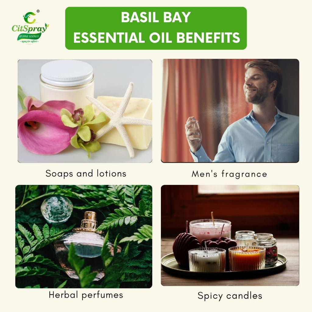 Basil Bay Essential Oil – Invigorating