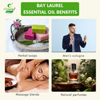 Bay laurel Essential Oil – Immune Support