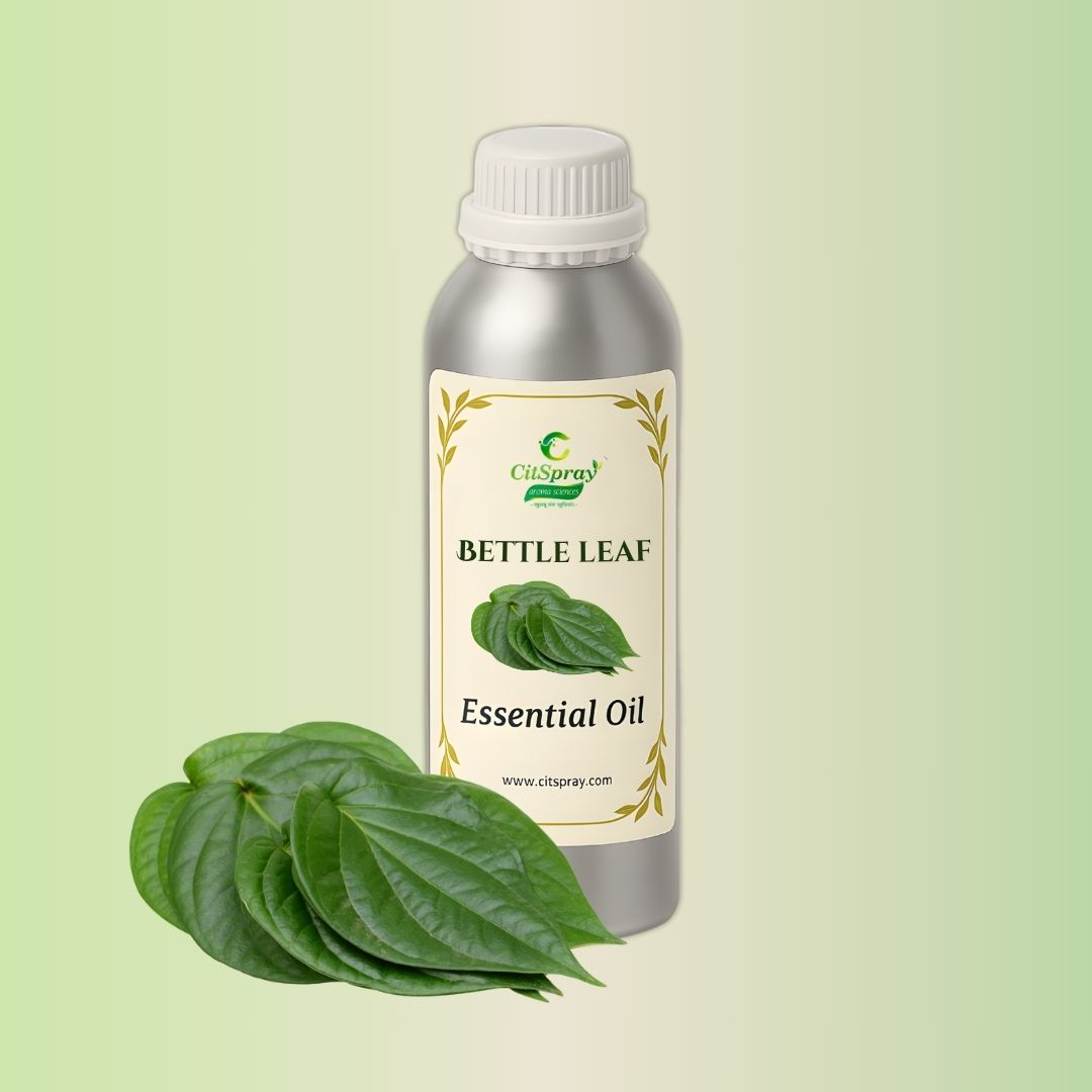 CitSpray Bettle Leaf Essential Oil in aluminum bottle. Botanical extract.