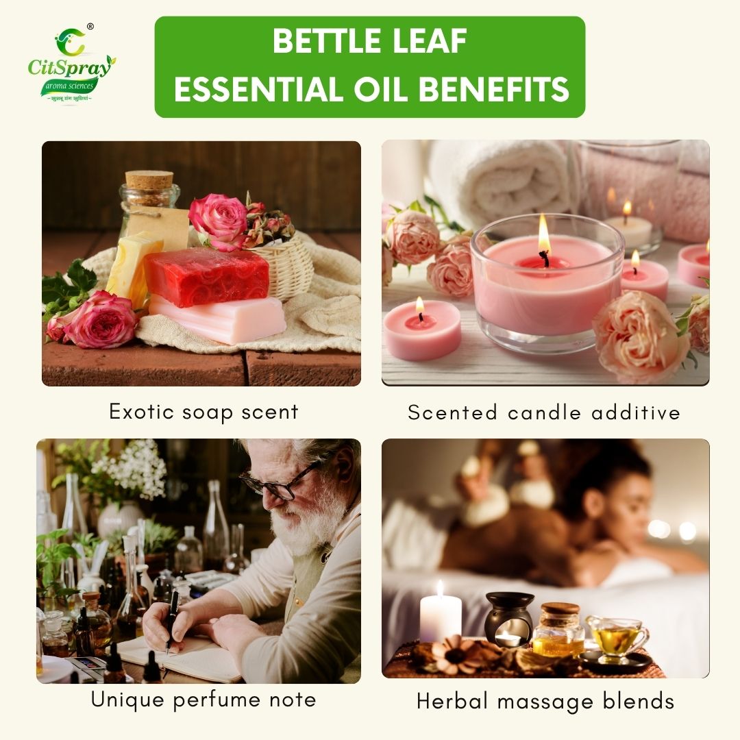 Bettle leaf Essential Oil – Natural Wellness