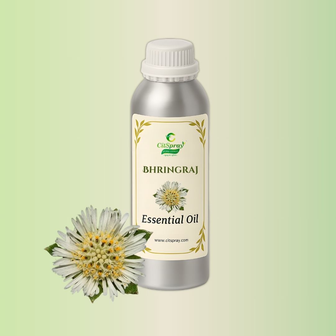 Bhringraj Essential Oil by CitSpray in an aluminium bottle.