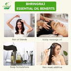 Bhringraj Essential Oil – Hair Growth