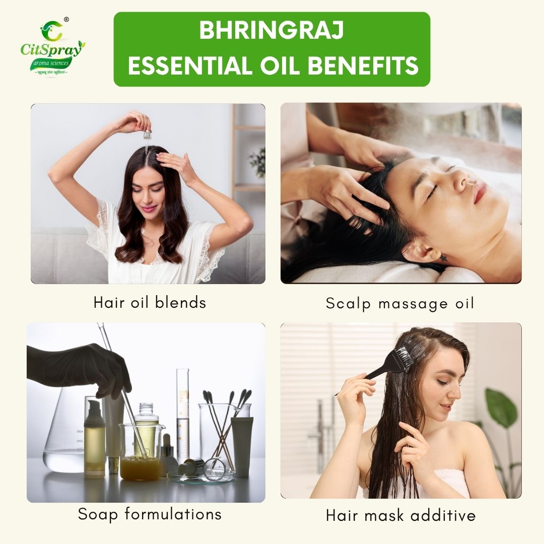 Bhringraj Essential Oil – Hair Growth
