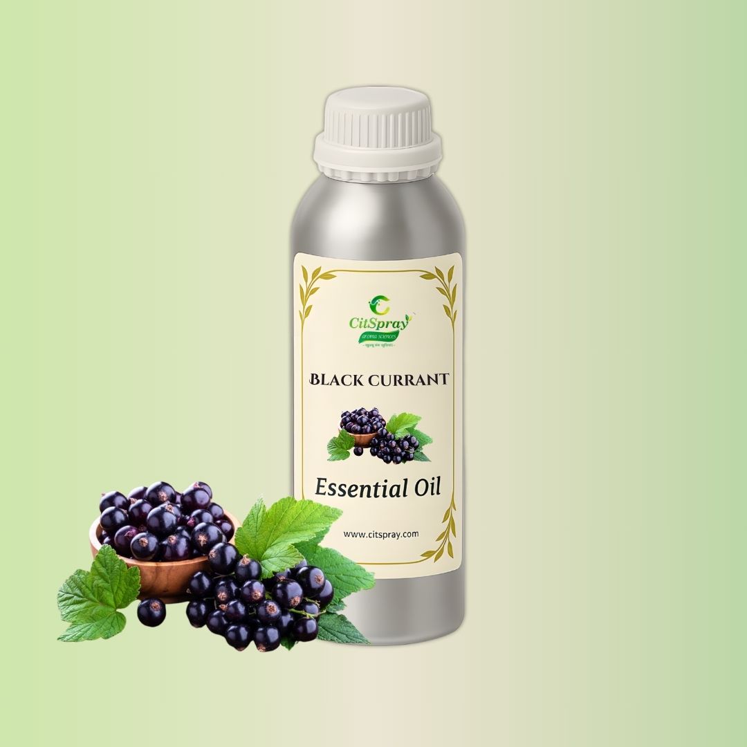 Black Currant Essential Oil in aluminum bottle by CitSpray. Botanical oil packaging.