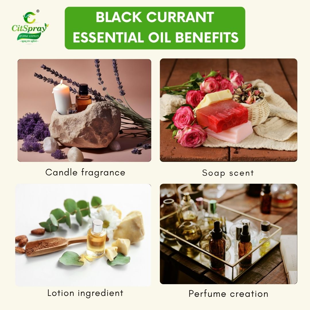 Black currant Essential Oil – Antioxidant Rich