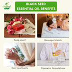 Black seed Essential Oil – Immune Support