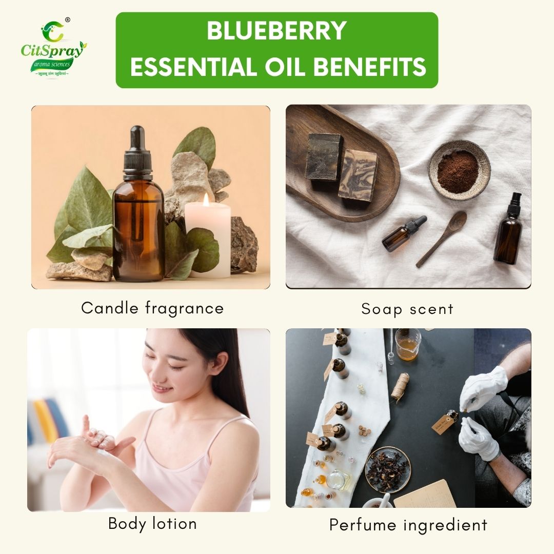 Blueberry Essential Oil – Antioxidant Boost