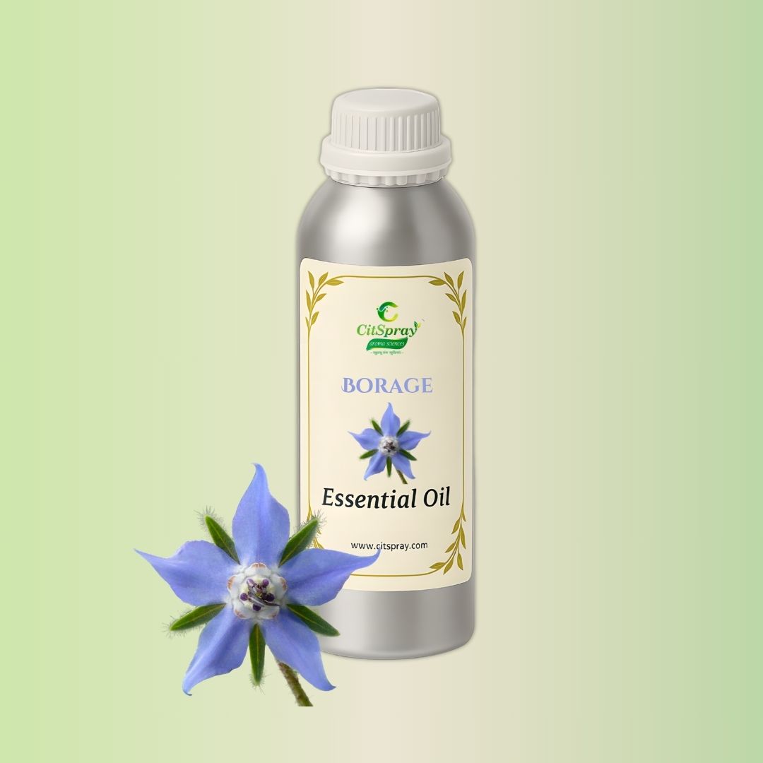 Borage Essential Oil by CitSpray. Aluminium bottle. Borage officinalis oil.
