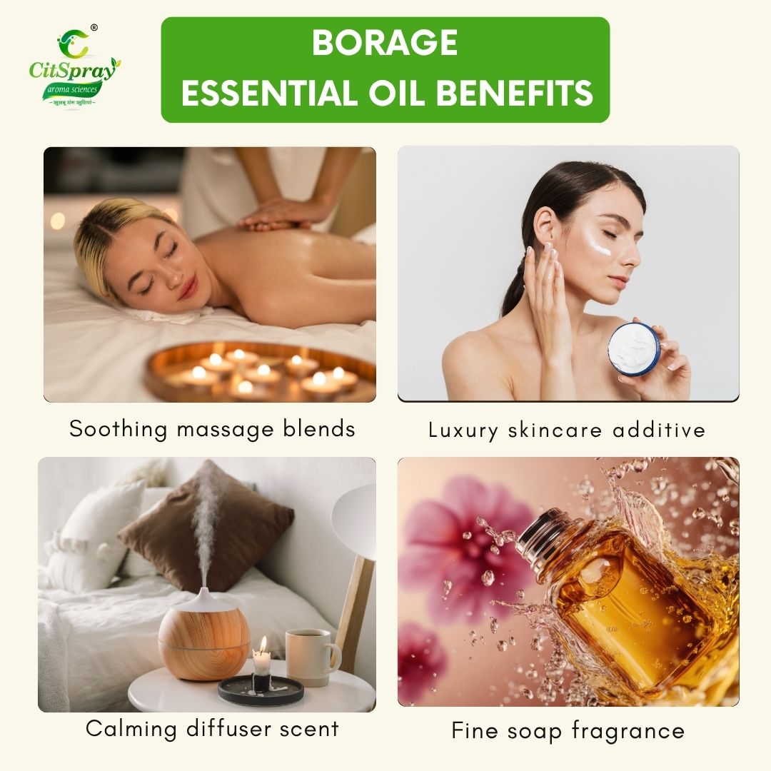 Borage Essential Oil – Skin Hydration