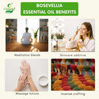 Bosevellia Essential Oil – Immune Support