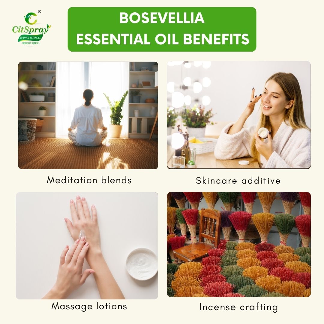 Bosevellia Essential Oil – Immune Support