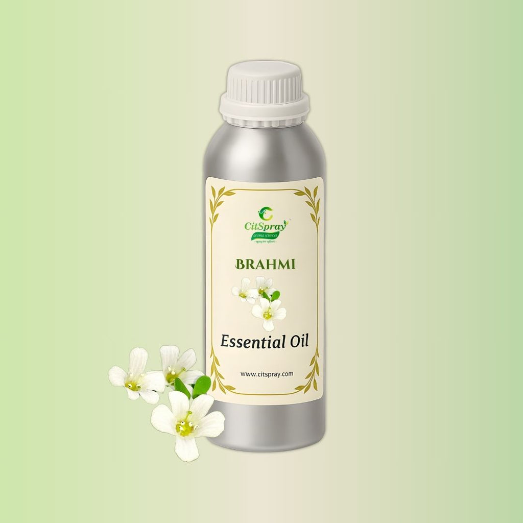 Brahmi Essential Oil in aluminium bottle by CitSpray. May contain Bacopa monnieri.