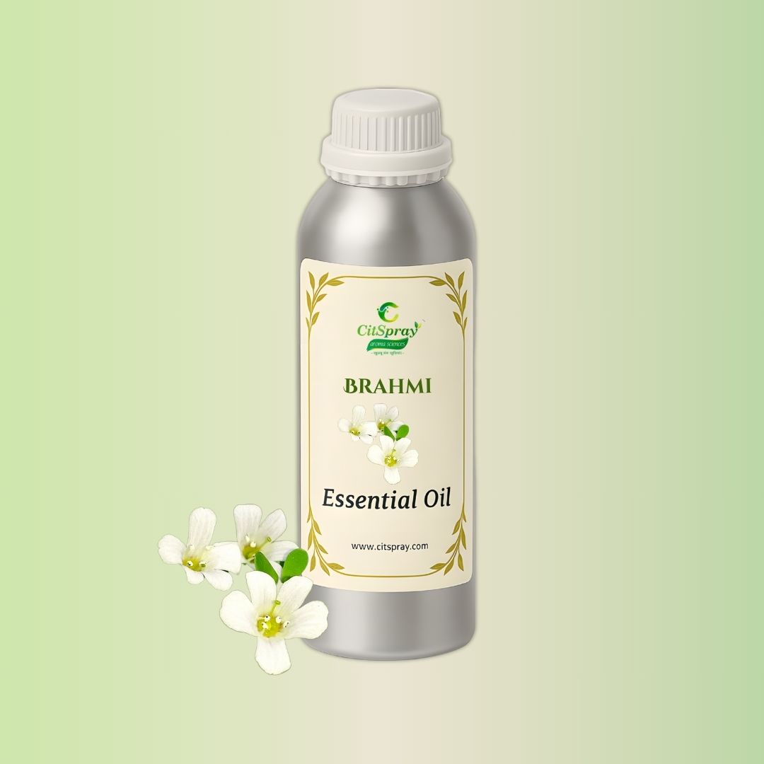 Brahmi Essential Oil in aluminium bottle by CitSpray. May contain Bacopa monnieri.