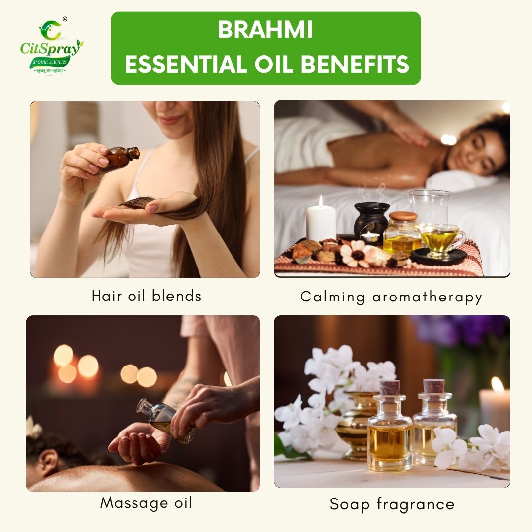 Brahmi Essential Oil – Cognitive Support