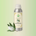 Cajuput Essential Oil in aluminum bottle, Cajuputi botanical implied.