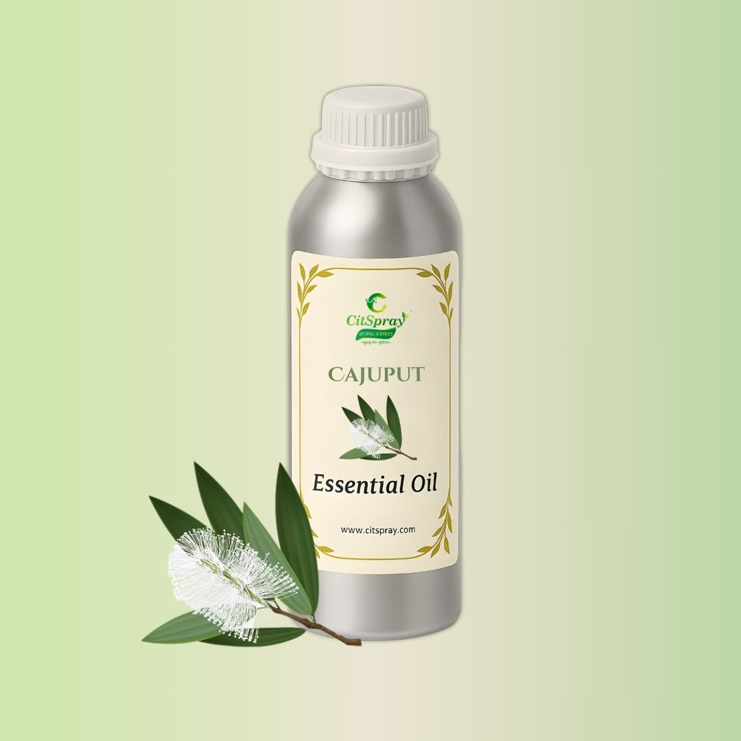 Cajuput Essential Oil in aluminum bottle, Cajuputi botanical implied.
