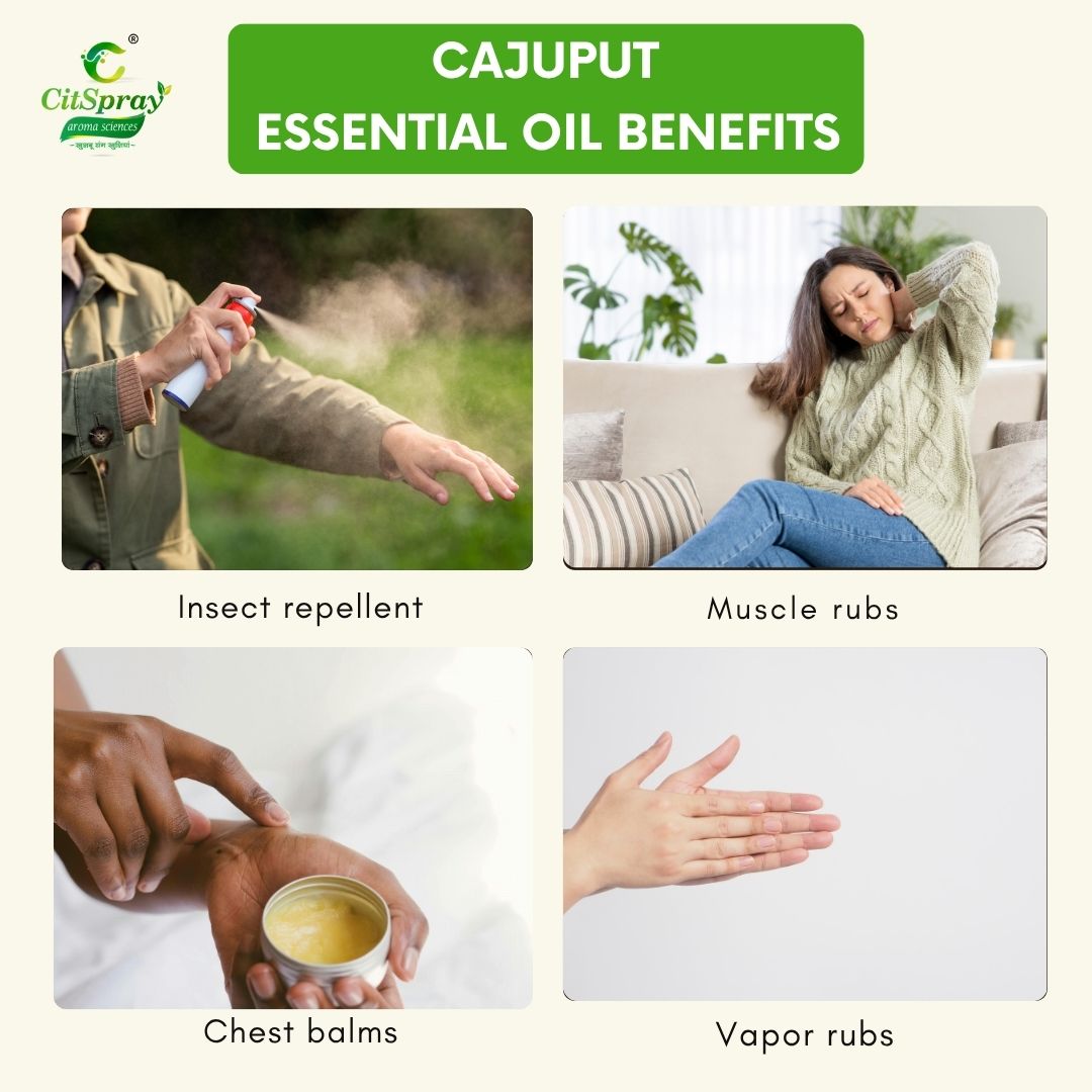 Cajuput Essential Oil – Congestion Relief
