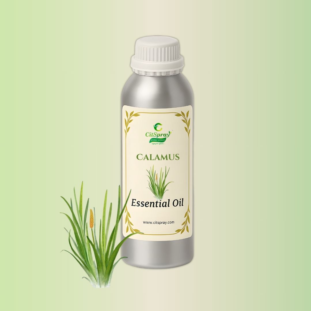 Calamus Essential Oil in CitSpray's aluminum bottle. Calamus implied.