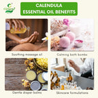 Calendula Essential Oil – Skin Healing
