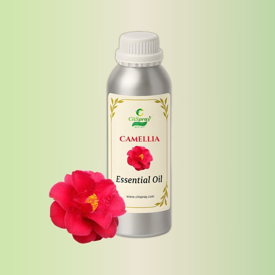 Aluminium bottle of CitSpray Camellia Essential Oil. Pure camellia botanical extract in simple packaging.