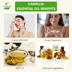 Camellia Essential Oil – Radiant Skin