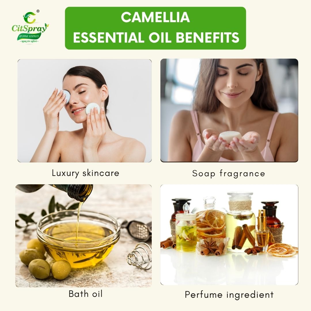 Camellia Essential Oil – Radiant Skin