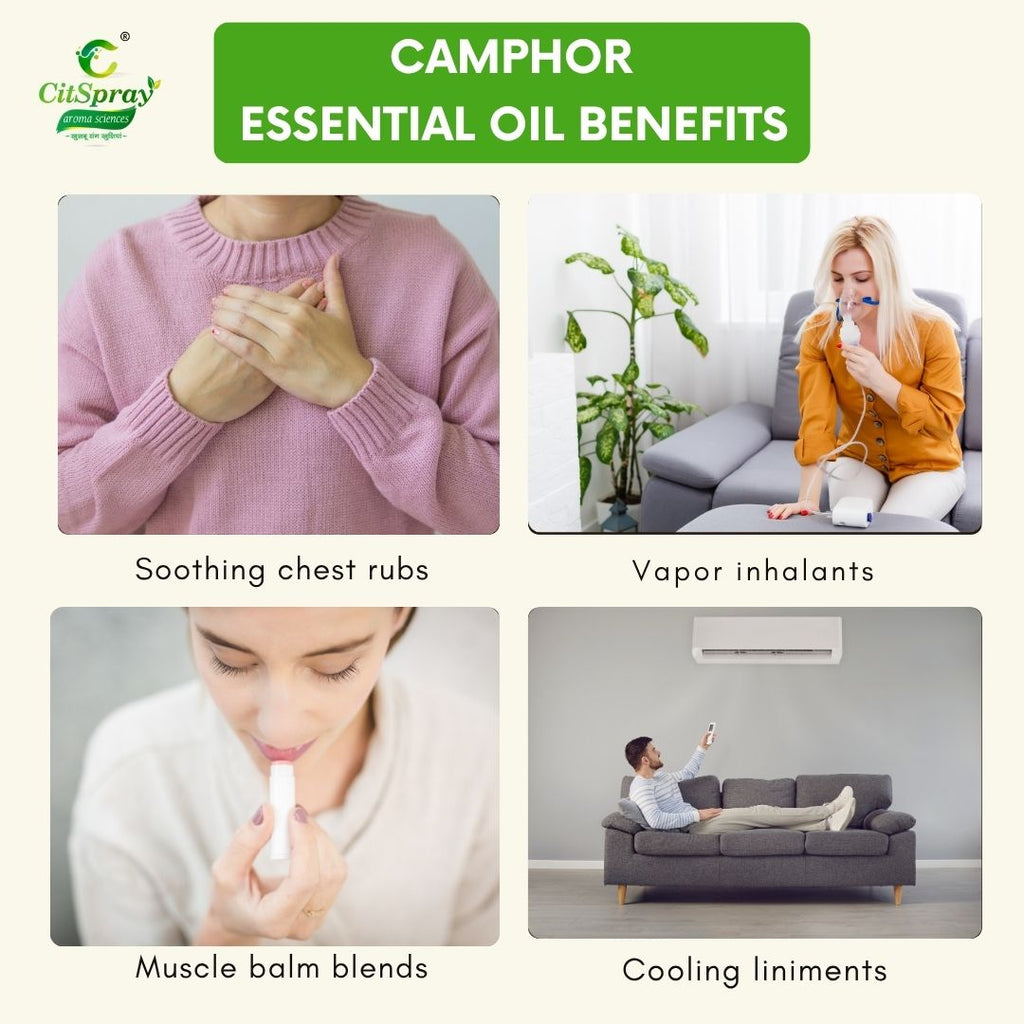 Camphor Essential Oil – Muscle Relief