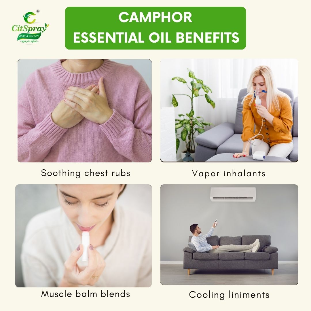 Camphor Essential Oil – Muscle Relief