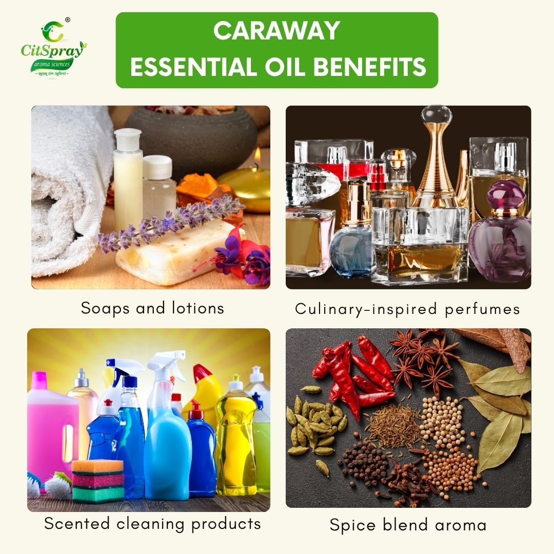 Caraway Essential Oil – Digestive Support