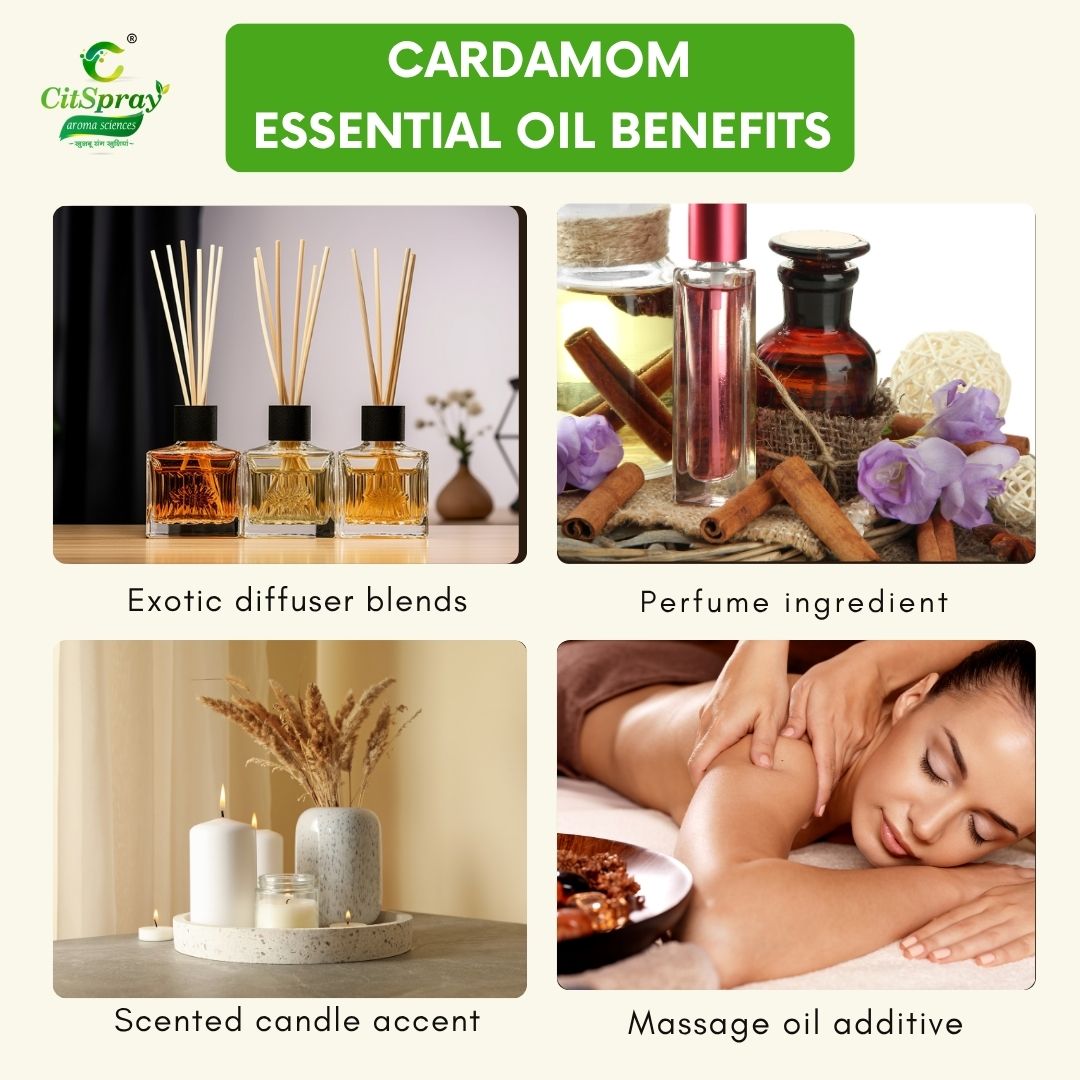 Cardamom Essential Oil – Digestive Support