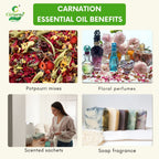 Carnation Essential Oil – Uplifting Aroma
