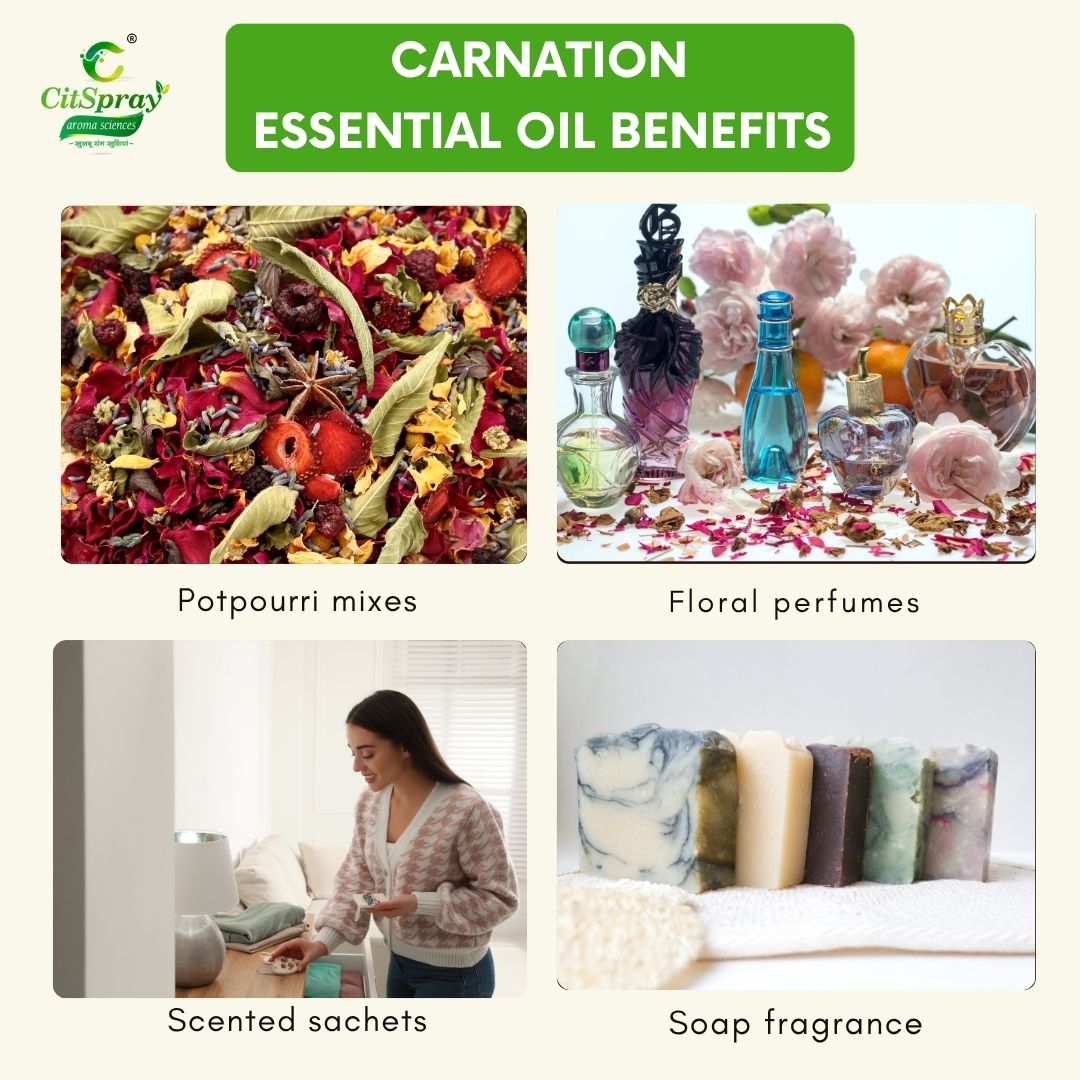 Carnation Essential Oil – Uplifting Aroma