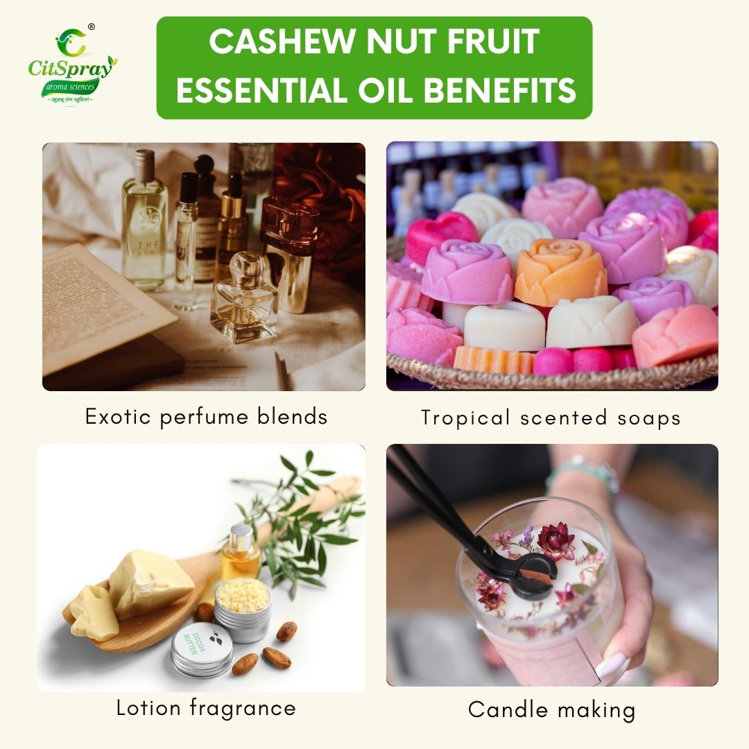 Cashew nut fruit Essential Oil – Natural Healing