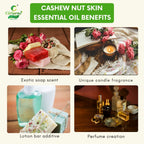Cashew Nut Skin Essential Oil – Skin Nourishment