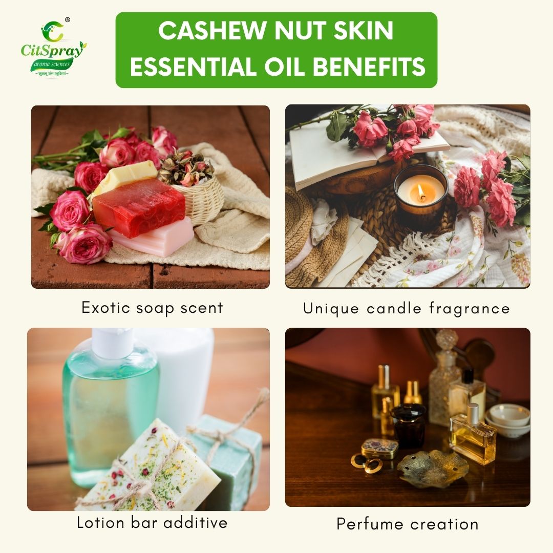 Cashew Nut Skin Essential Oil – Skin Nourishment