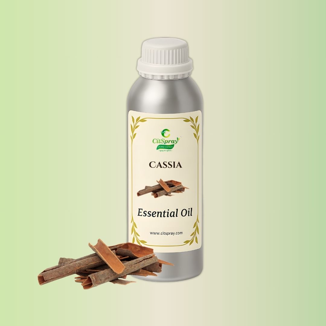 Cassia Essential Oil in aluminum bottle. CitSpray product. (Cinnamomum cassia).